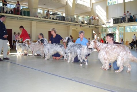 CAC Burgdorf 2009