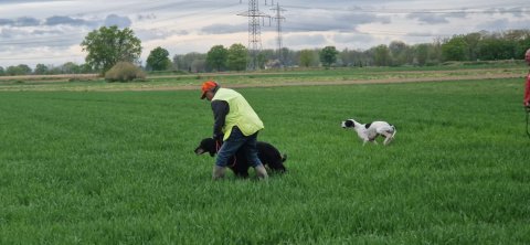 Field Trial Auenheim 2025
