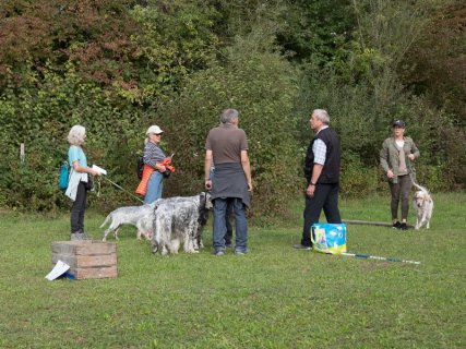 Herbstevent / Herbstprüfungen