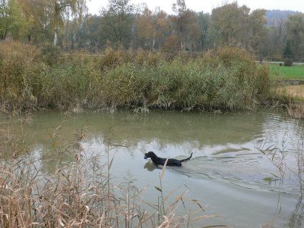 Herbstprüfung 2009