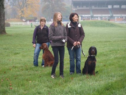 Herbstprüfung 2010