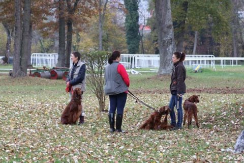 Herbstprüfung 2015