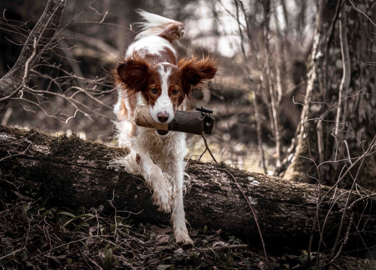 202.DE - 2023 03 - Connie Lomasi-12