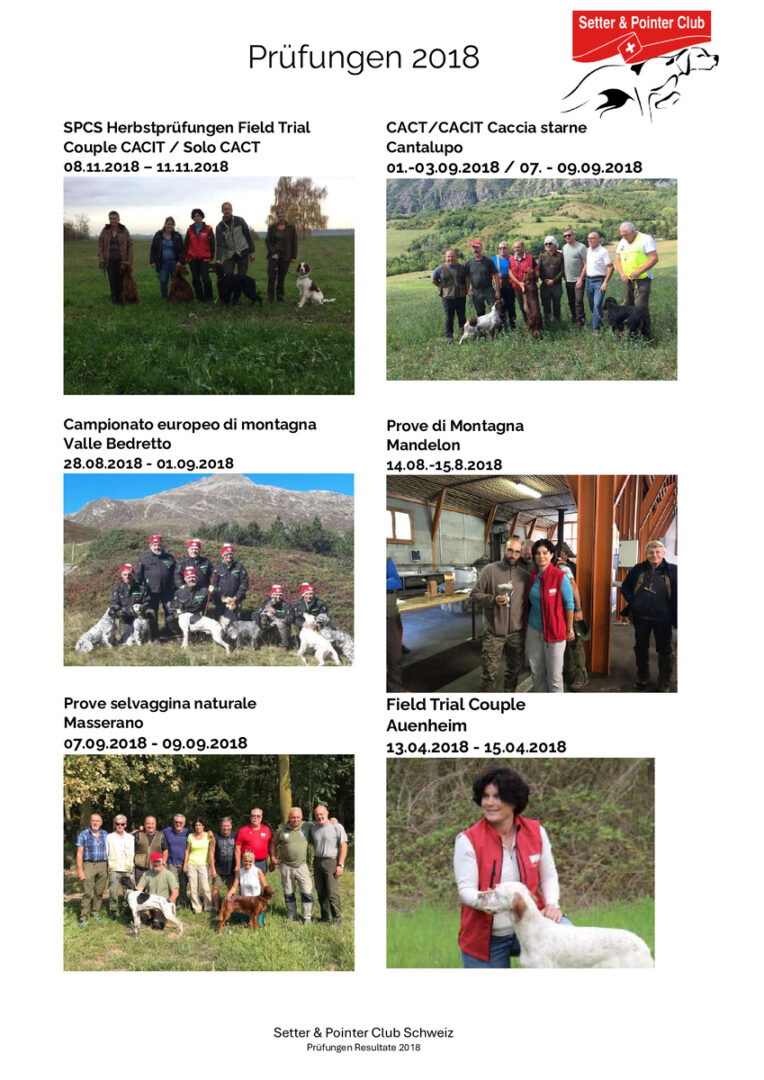 thumbnail of Prüfungen 2018