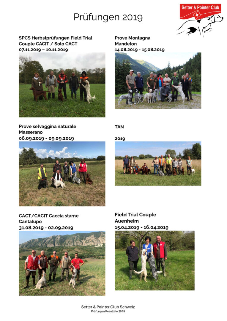 thumbnail of Prüfungen 2019