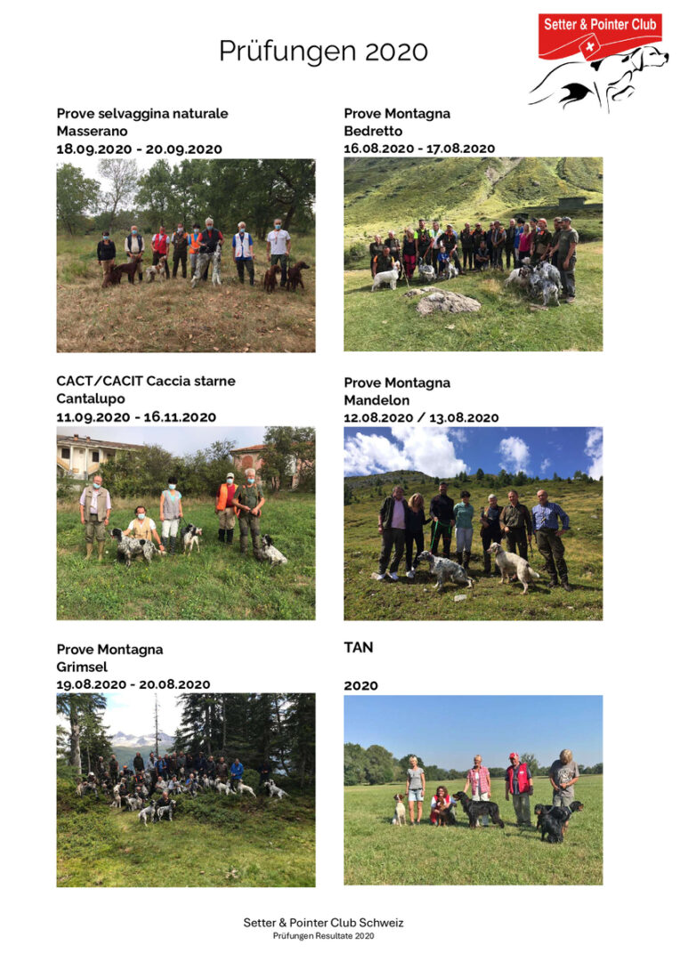 thumbnail of Prüfungen 2020