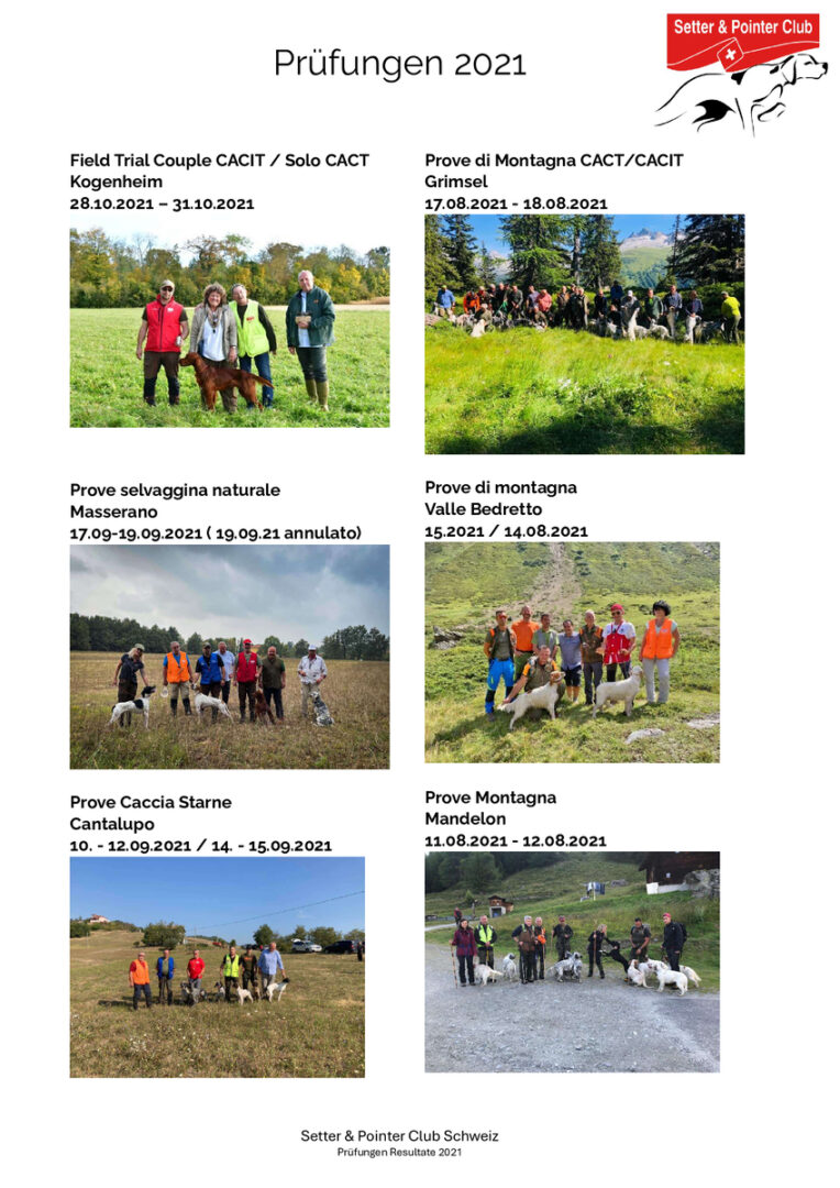 thumbnail of Prüfungen 2021