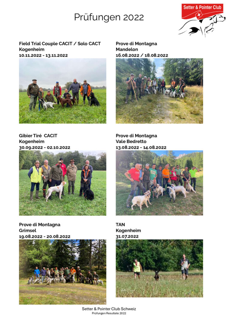 thumbnail of Prüfungen 2022