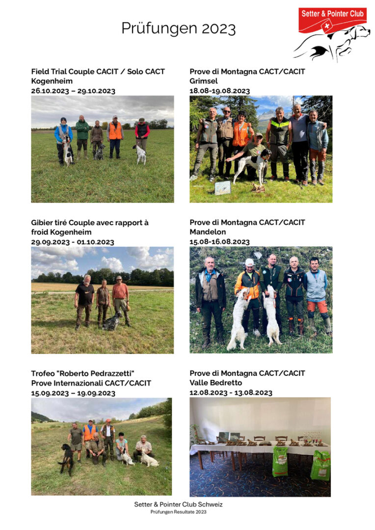 thumbnail of Prüfungen 2023