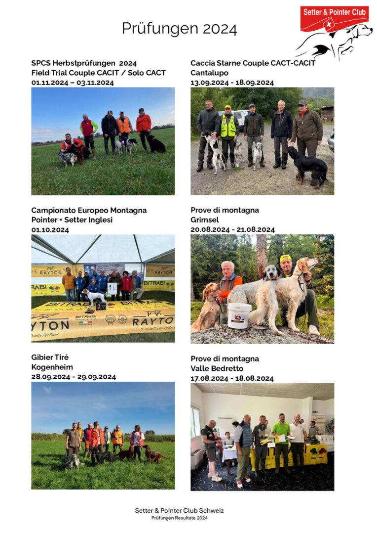 thumbnail of Prüfungen 2024