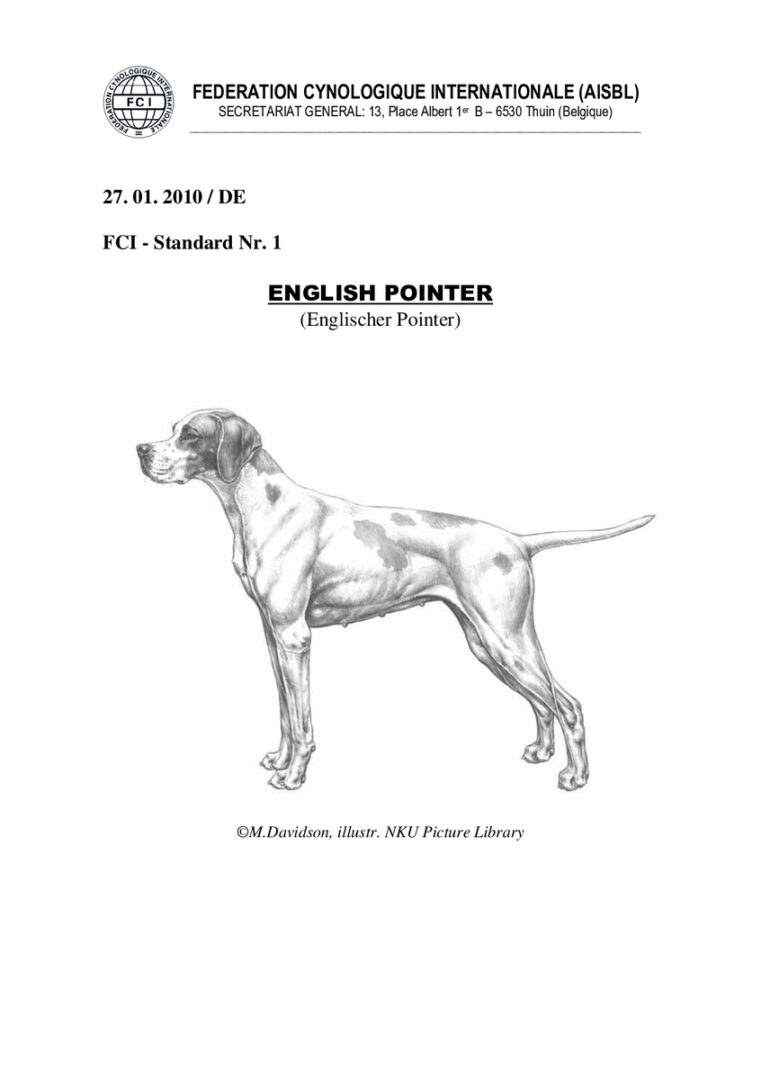 thumbnail of fci_standard_english_pointer_de