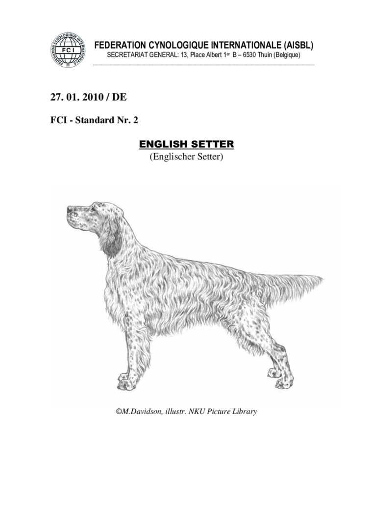 thumbnail of fci_standard_english_setter_de