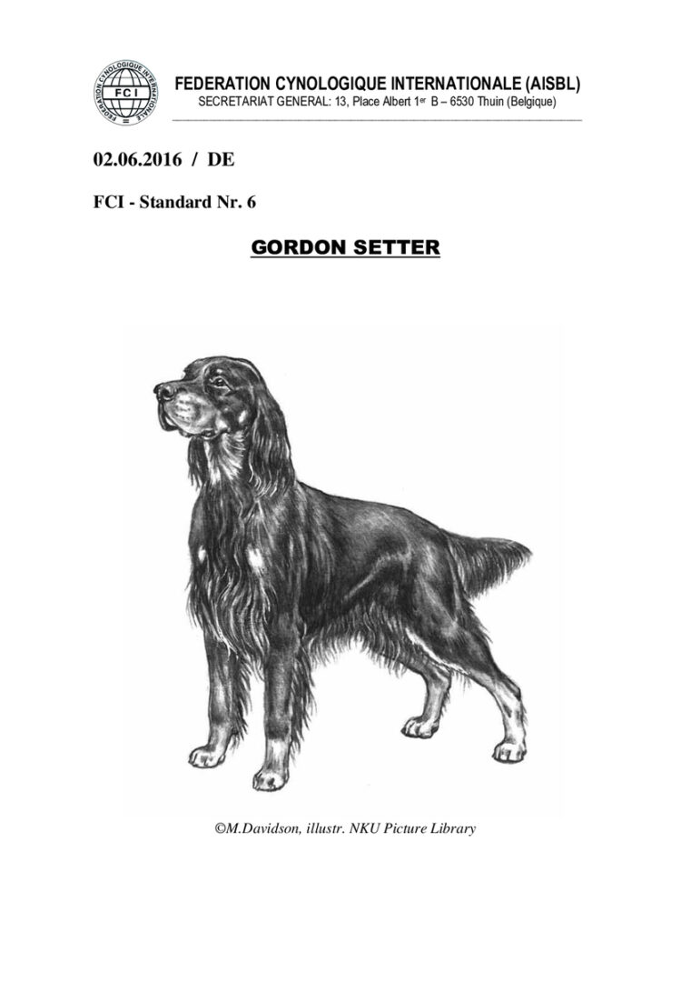 thumbnail of fci_standard_gordon_setter_de