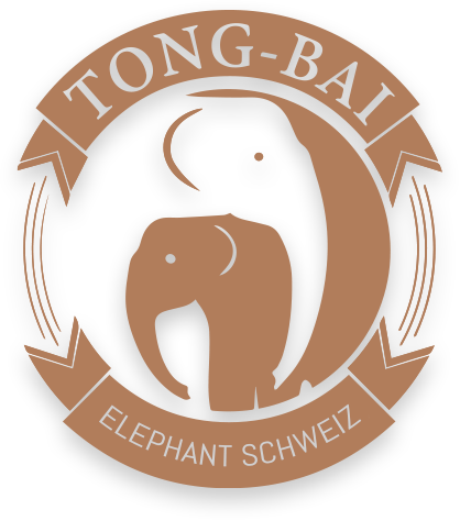 Tong-Bai Elephant Schweiz